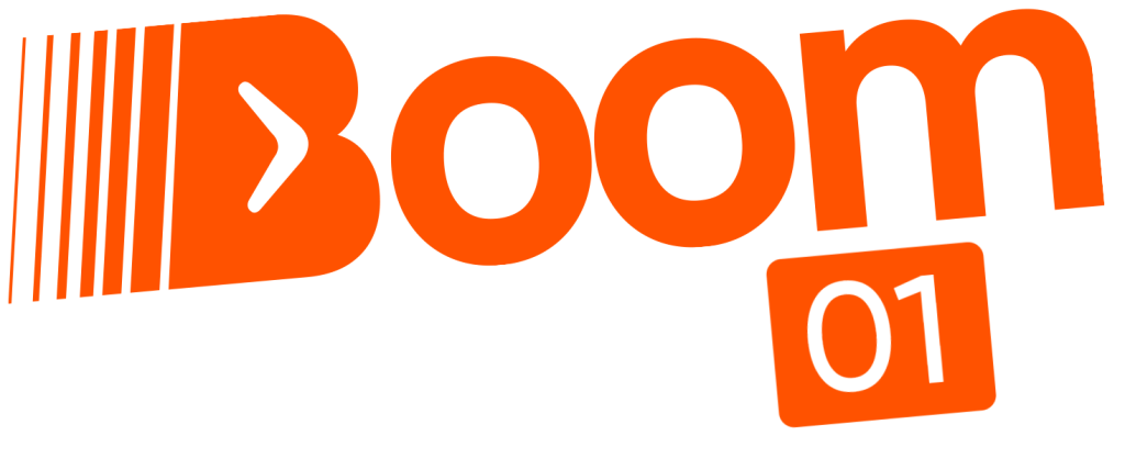 Boomerang Fleet - Ain
